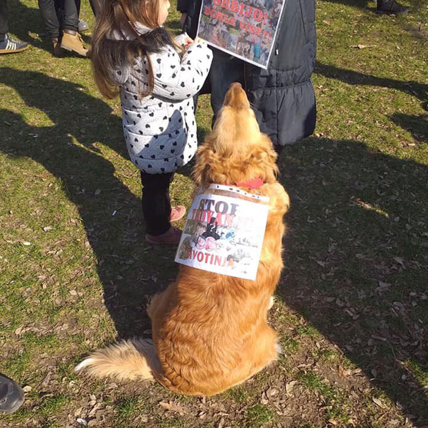 Протест Борба за Џекија - одговор на тровање паса